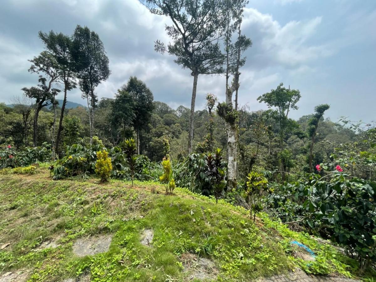 Rai'S Coorg Cave House Madikeri Exterior foto